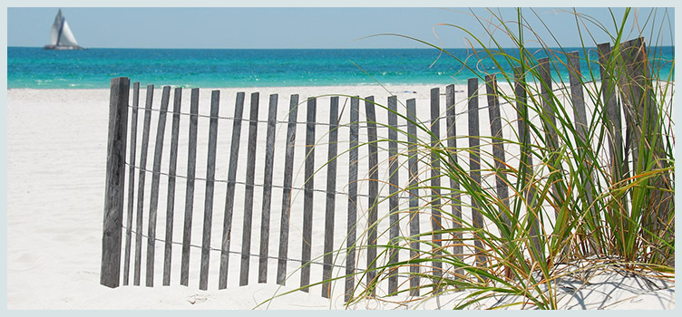 Beautiful sand dune on pensacola beach, florida