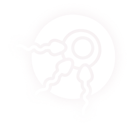 icon iui